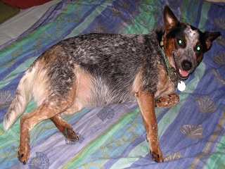 Pepper am 06.07.06