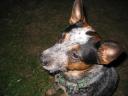k-IMG_0061.JPG