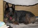k-IMG_0078.JPG